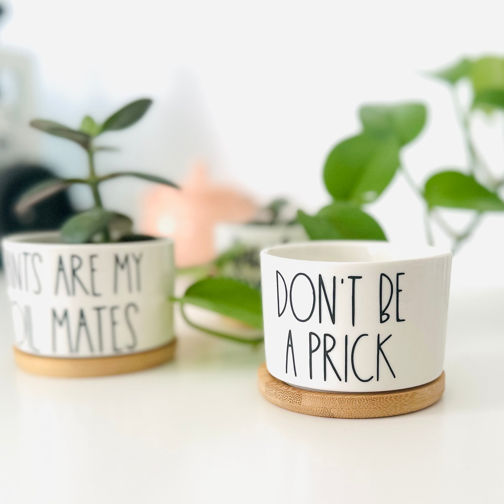 crazy plant pots Funny, Cute and Sarcastic Cute Mini Plant Pots – Peach Tree Design Shop