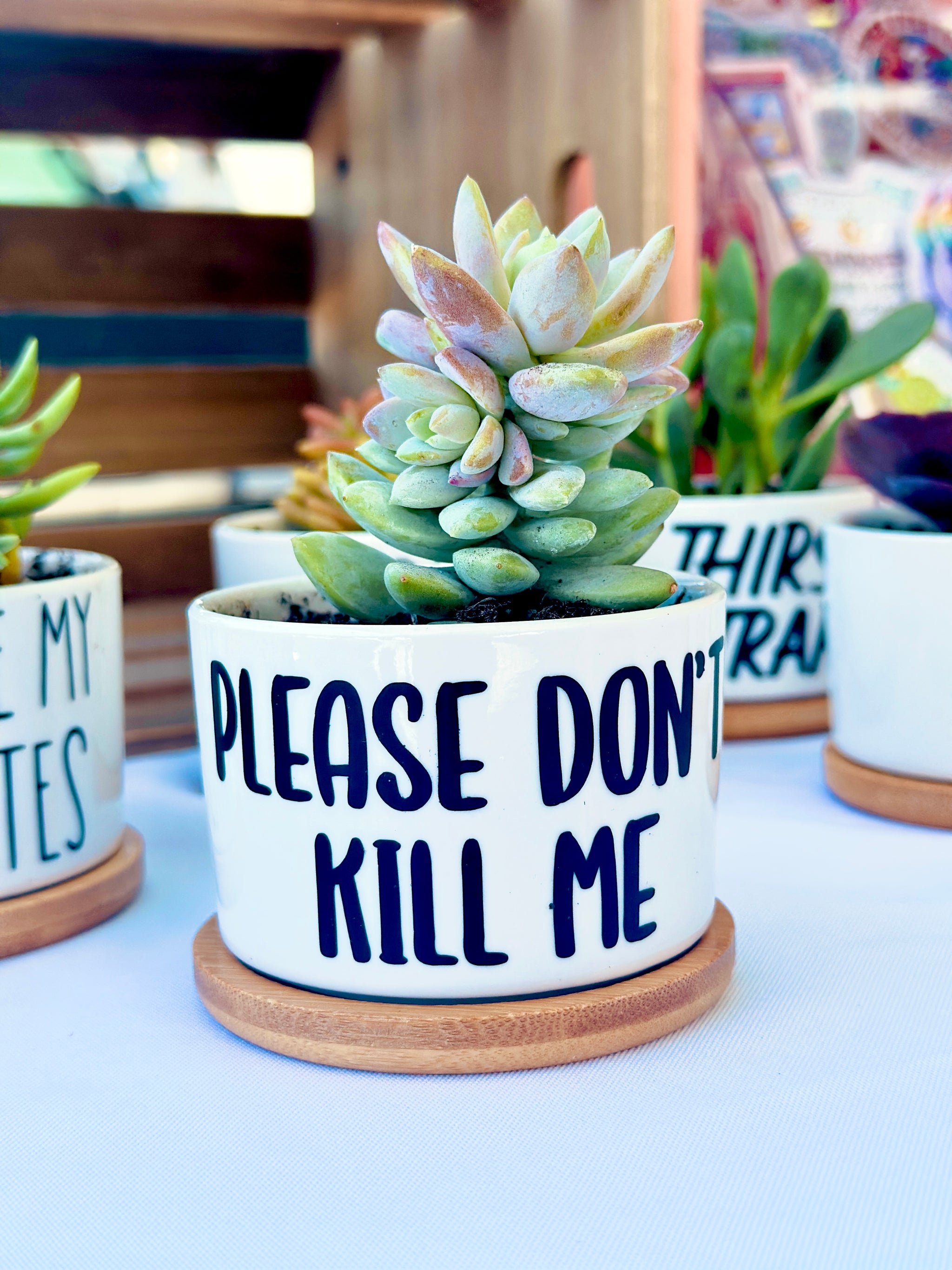 funny plant pot ideas Funny, Cute and Sarcastic Cute Mini Plant Pots – Peach Tree Design Shop