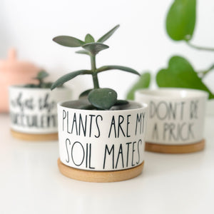 Funny, Cute and Sarcastic Mini Planters