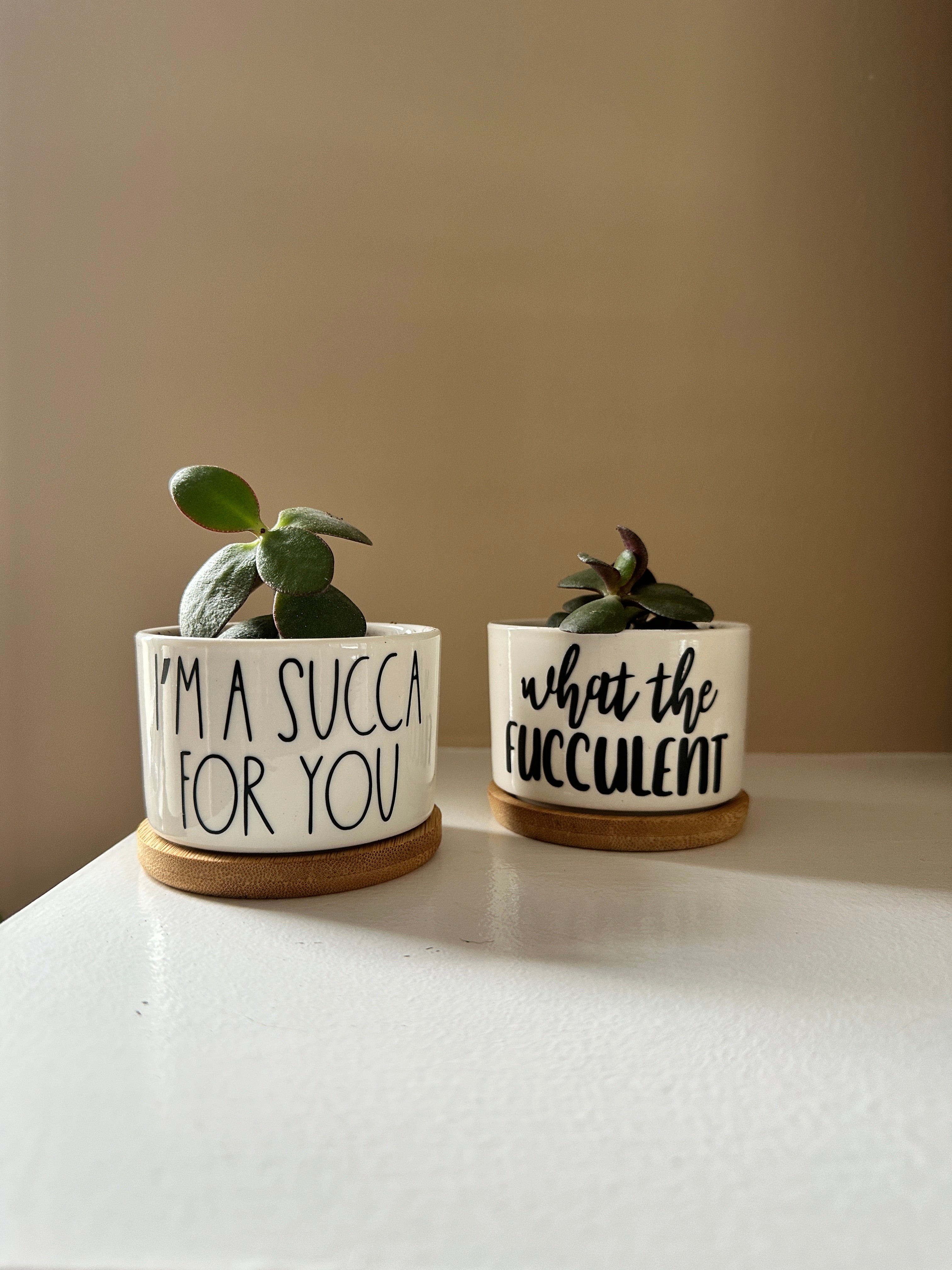 funny plant pot ideas Funny Succulent Pots