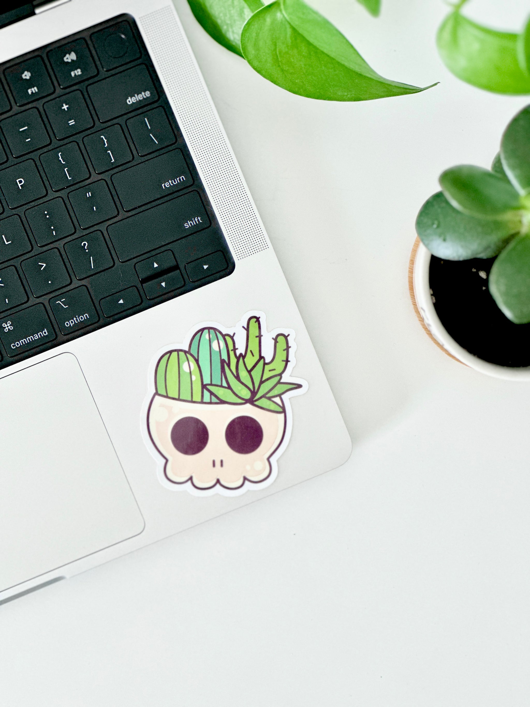Cactus Sticker, Succulent Gift, Plant Stickers for Water Bottle, Whims –  Peach Tree Design Shop