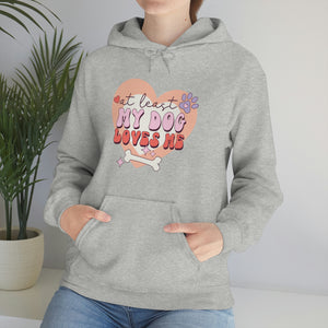 
            
                Load image into Gallery viewer, At Least My Dog Loves Me Retro Hooded Sweatshirt Anti - Valentine&amp;#39;s Day
            
        