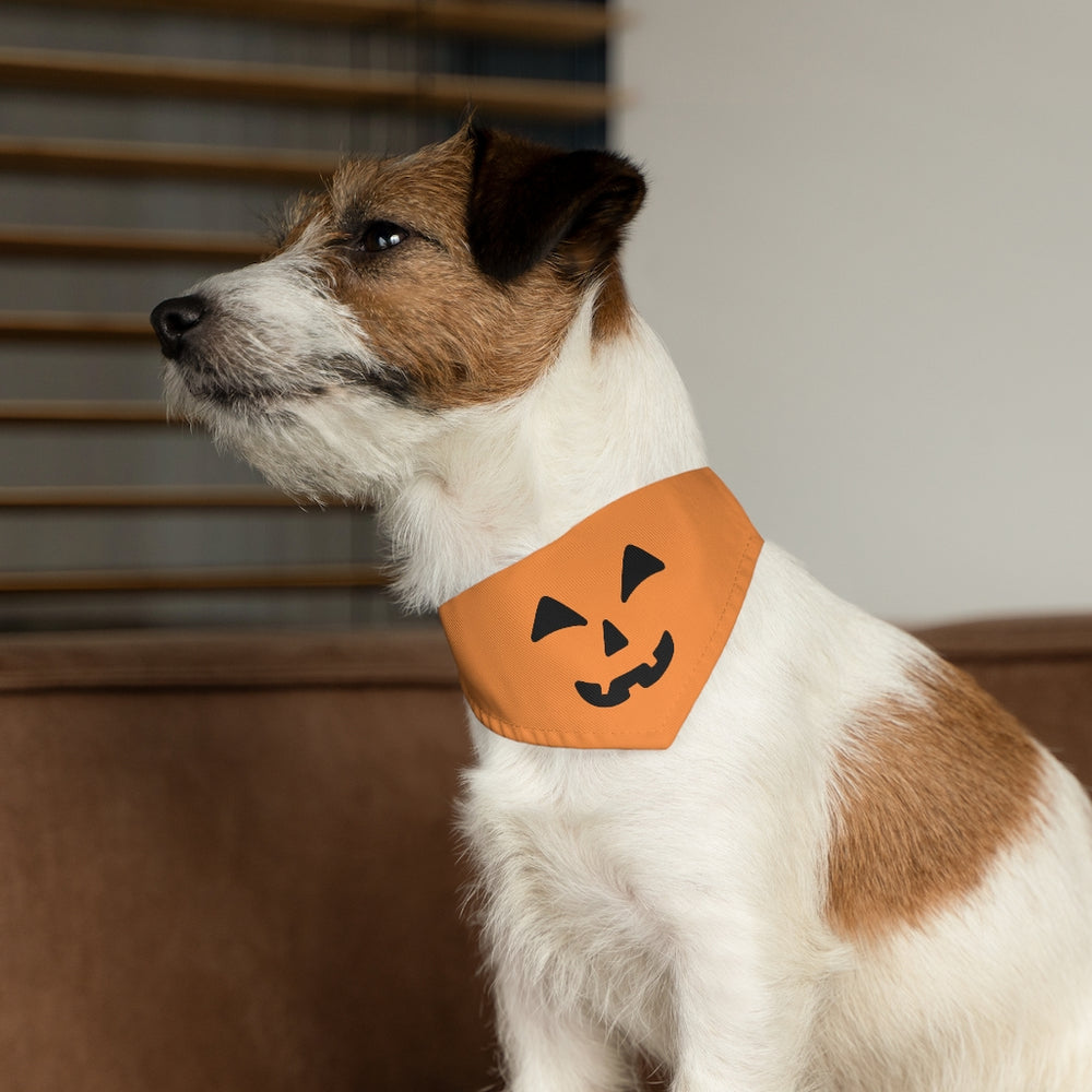 
            
                Load image into Gallery viewer, Pumpkin Face Pet Bandana Collar
            
        