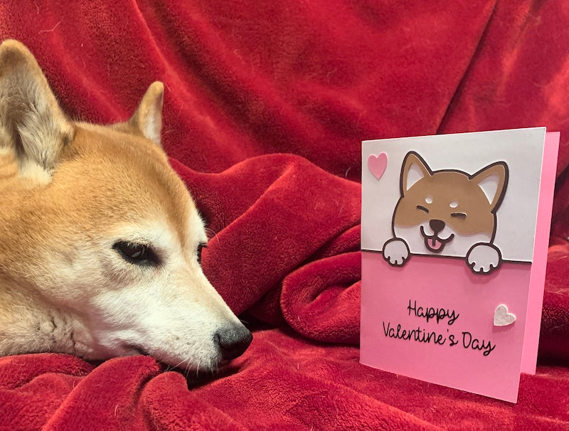 
            
                Load image into Gallery viewer, Shiba Inu Love Layered Papercraft Valentine&amp;#39;s Day Greeting Card
            
        