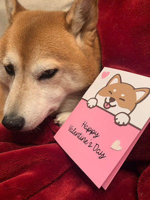 Shiba Inu Love Layered Papercraft Valentine's Day Greeting Card